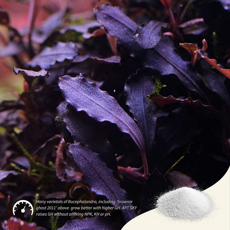 Apt Sky - Sels minéraux 150g pour eau douce