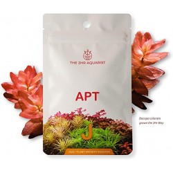 Casquettes de jazz apt