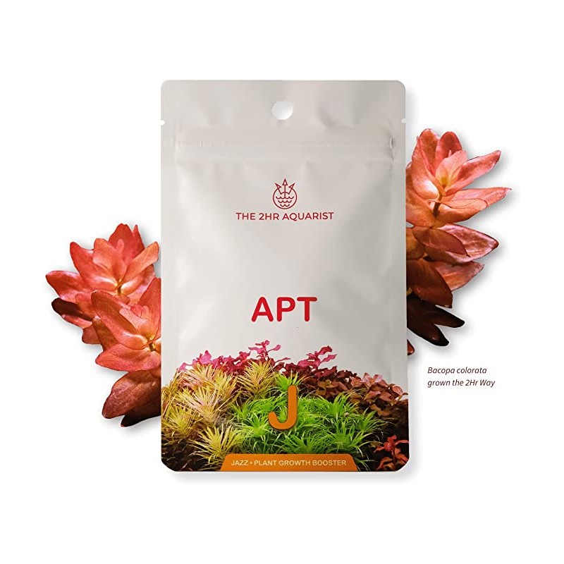 Casquettes de jazz apt