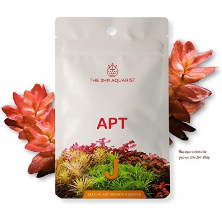 Casquettes de jazz apt