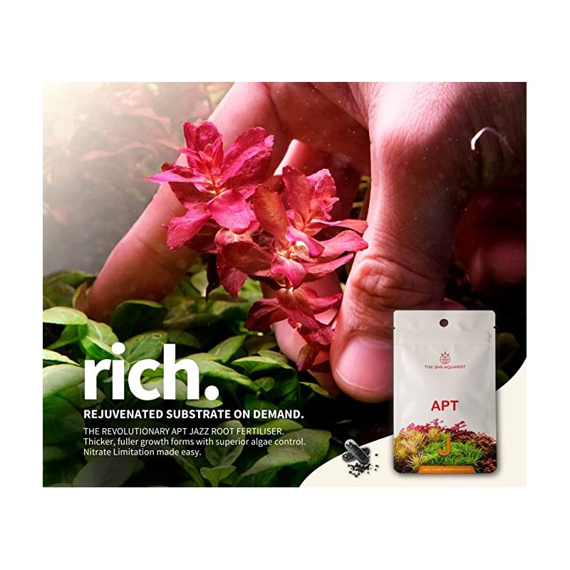 Casquettes de jazz apt