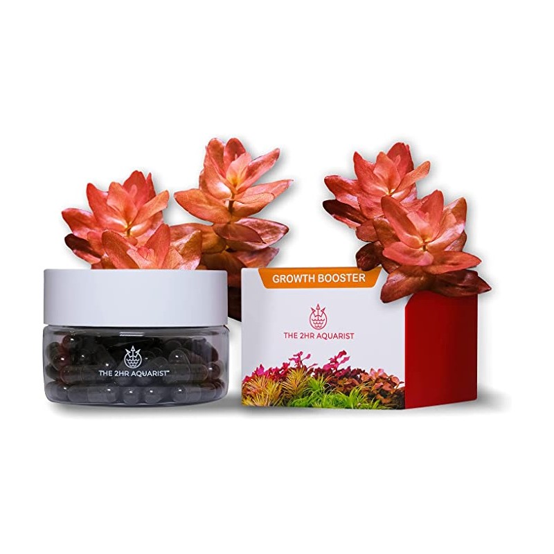 Casquettes de jazz apt