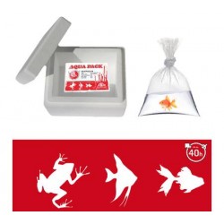 Kit d'expédition de poisson et nourriture vivante