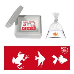 Live food and fish shipping kit