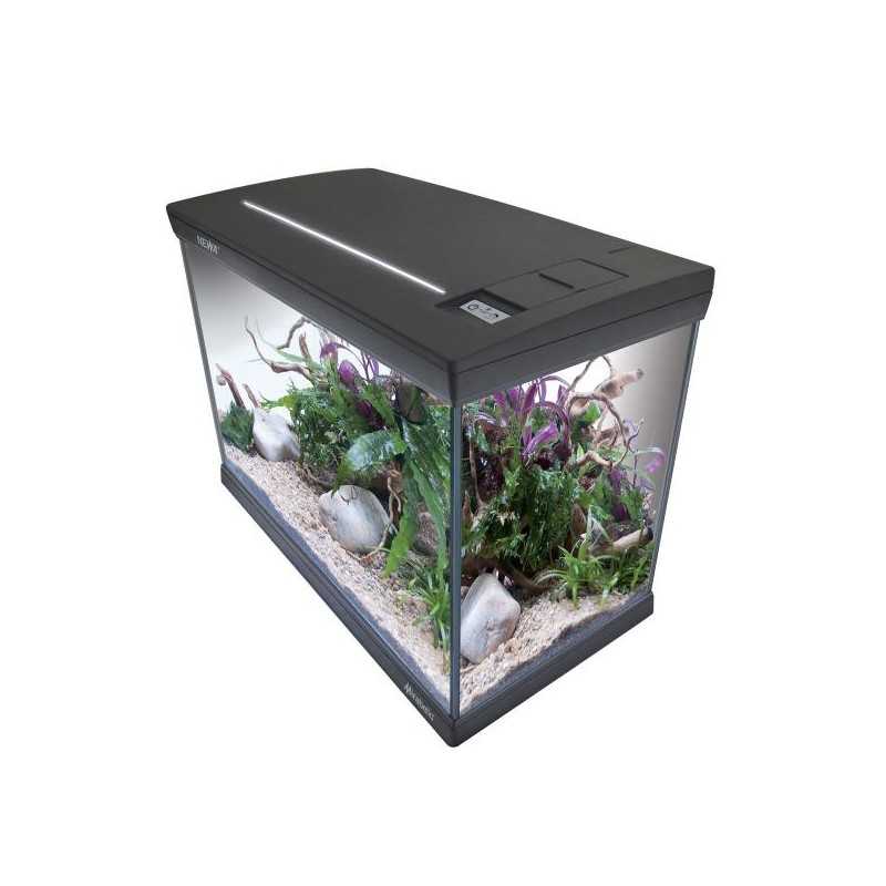Mirabello 40, aquarium cristal équipé de...