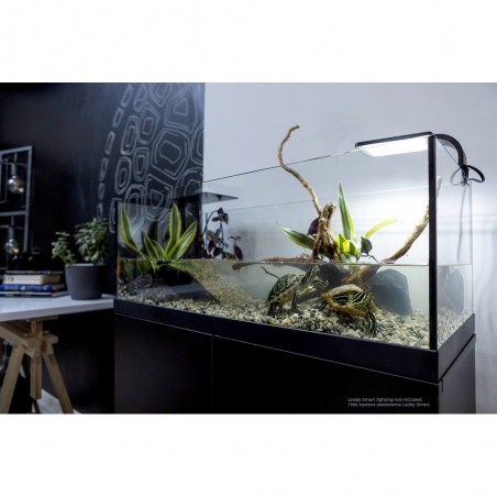 Aquael AquaterRerium - TortuarWe with ramp and filter for reptiles and amphibiaquaels