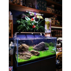 HYDROPONIC PLUS VERSA JARDIN - Mur vert - Aquael 2