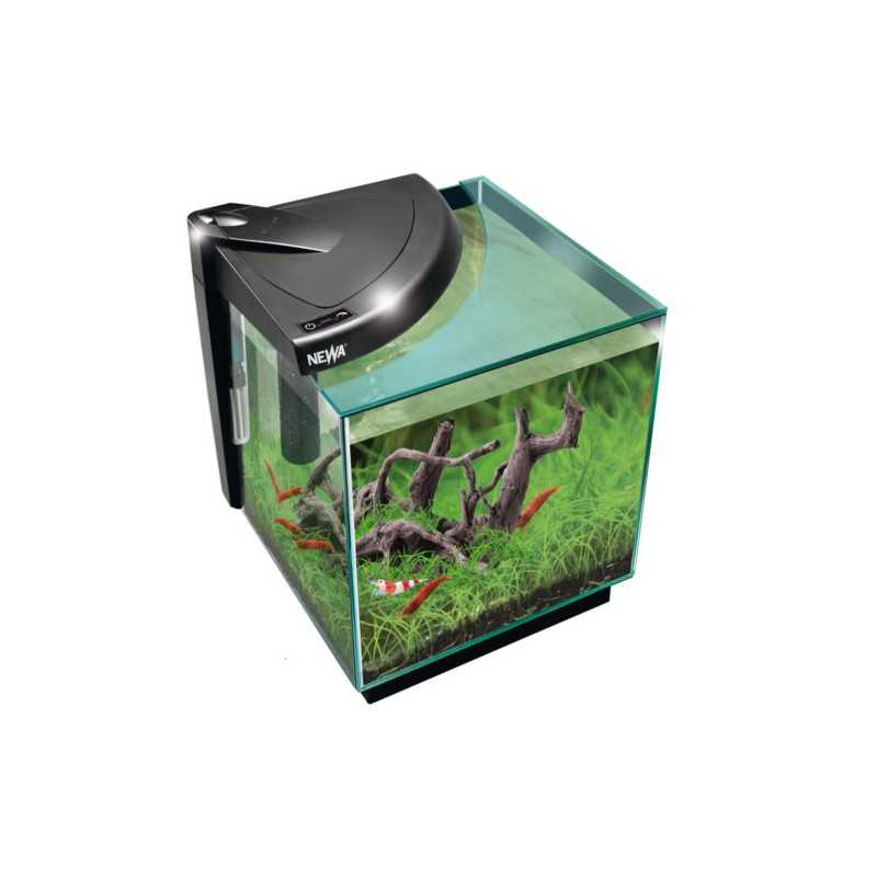 Newa More 20 Caridinae, Aquarium for 18 liters...