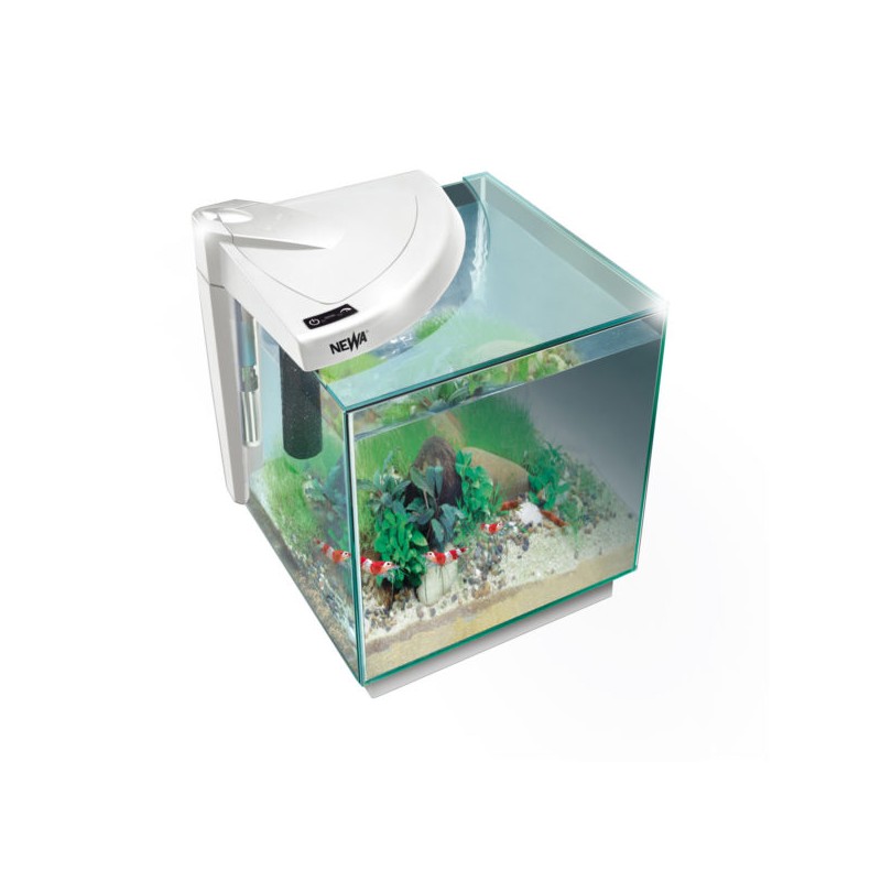 Newa More 20 Caridinae, acquario per gamberetti da 18 litri - Newa