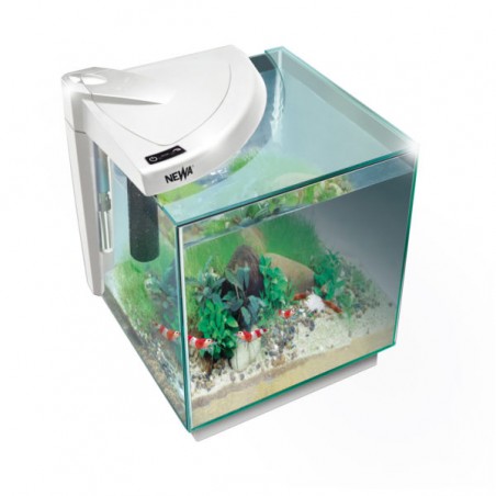 Newa More 20 Caridinae, Aquarium for 18 liters shrimp - Newa