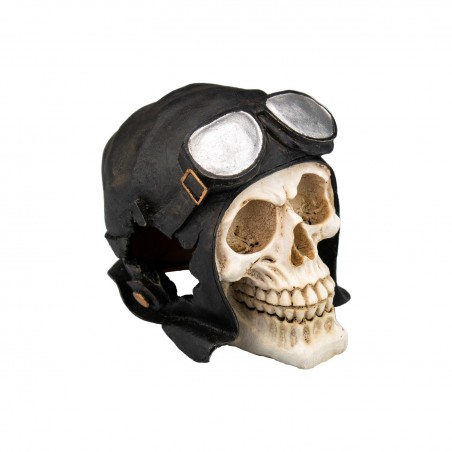 Teschio Biker per acquari