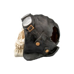 Teschio Biker per acquari 2