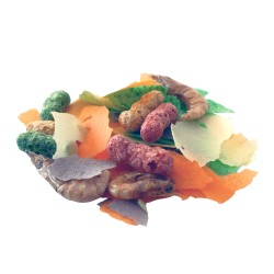 PondFood Mix mangime pesci laghetto - Prodac 2