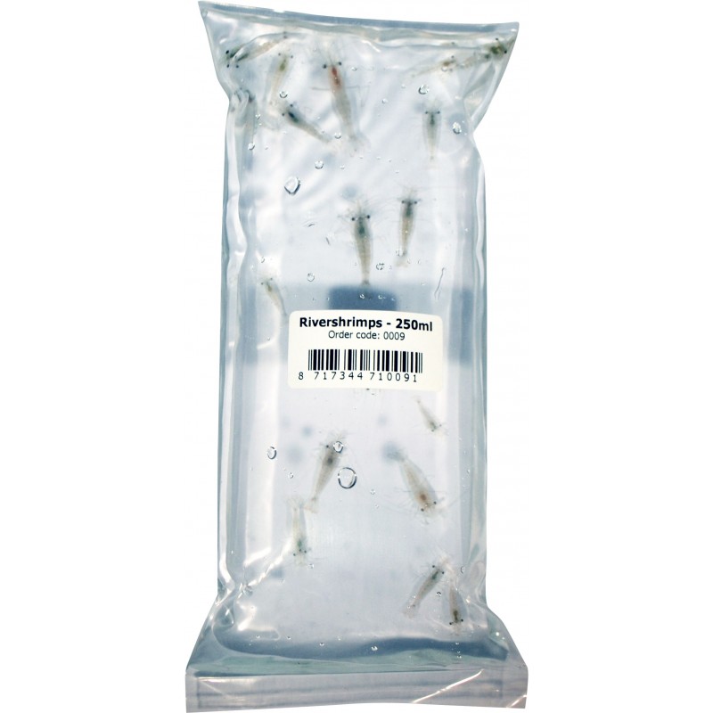 River Shrimps 250 ml de nourriture vivante...