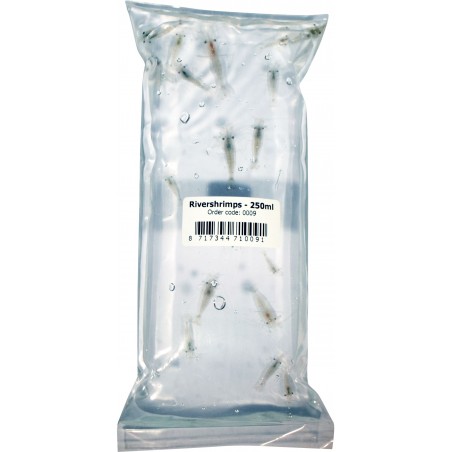 River Shrimps 250 ml live food Live Food - Aquaflora
