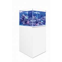 Complete Marine Aquarium Full Extranchiao 60 Lingerie AGP