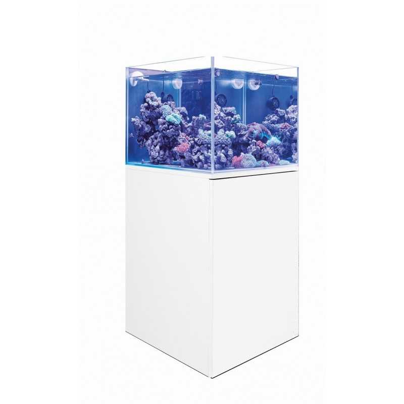 Complete Marine Aquarium Full Extranchiao 60...