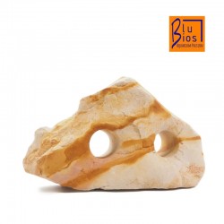 Rock arc-en-ciel avec des trous de bios bleu 2