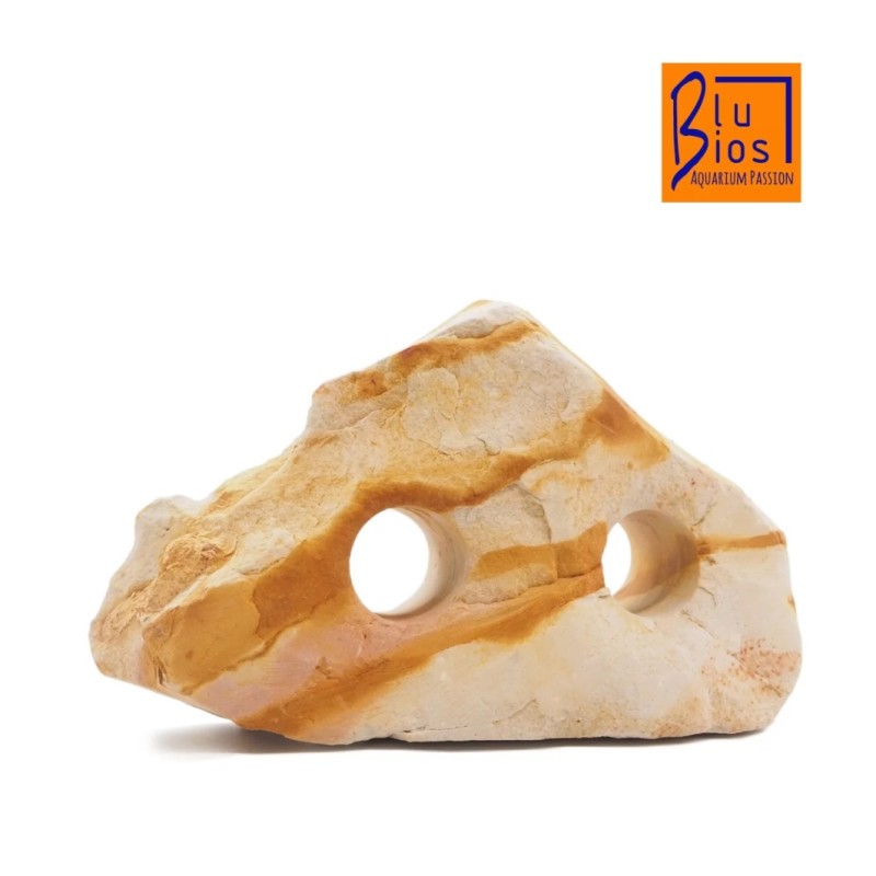 Rock arc-en-ciel avec des trous de bios bleu