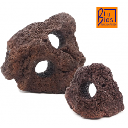 Rock lava with blue holes BIOS