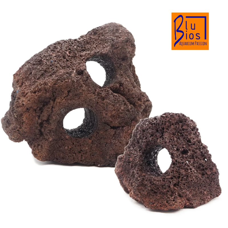 Rock lava with blue holes BIOS