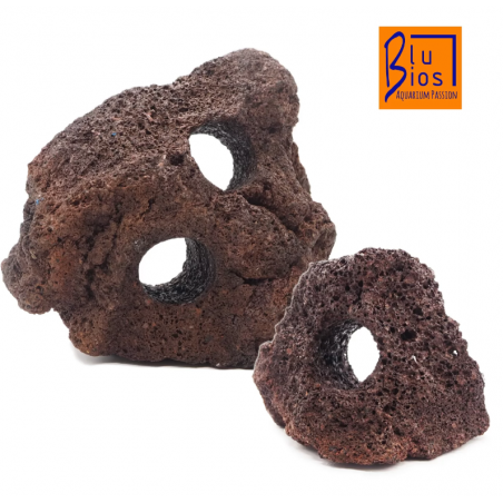 Rock lava with blue holes BIOS