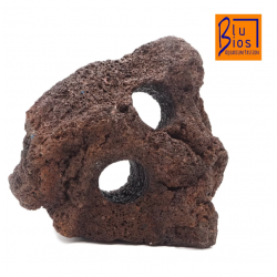 Rock lava with blue holes BIOS 2