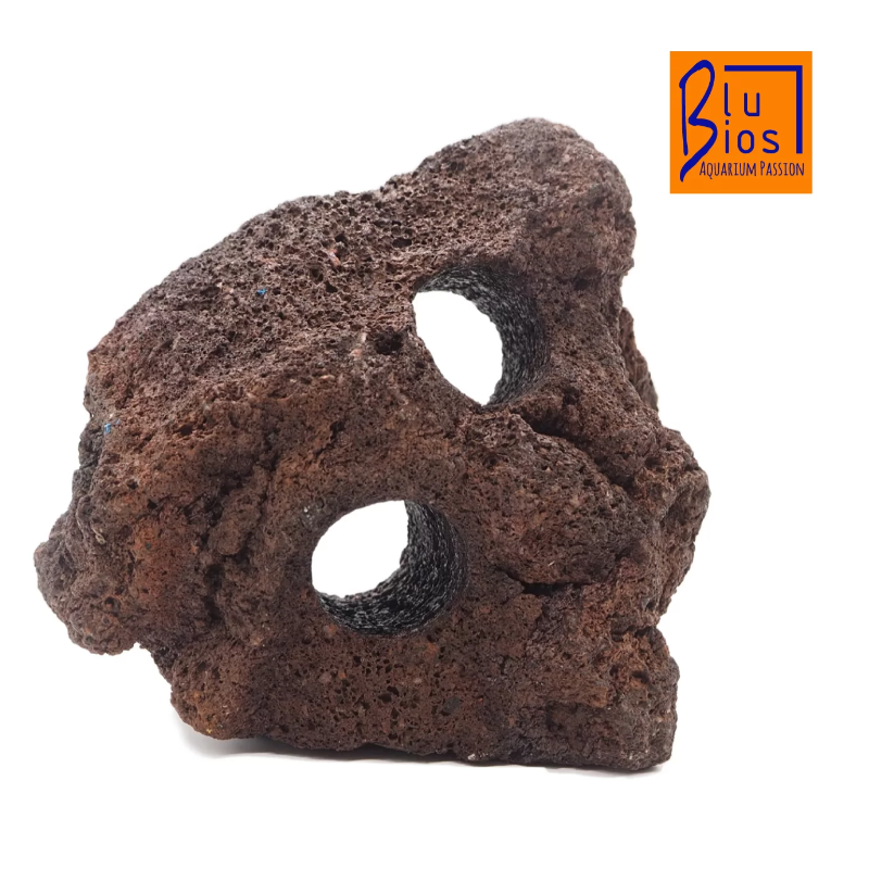 Rock lava with blue holes BIOS