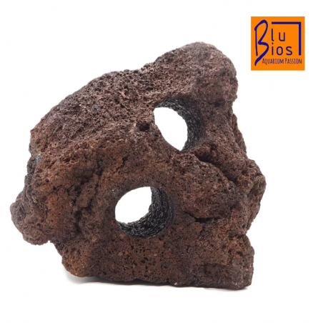 Rock lava with blue holes BIOS