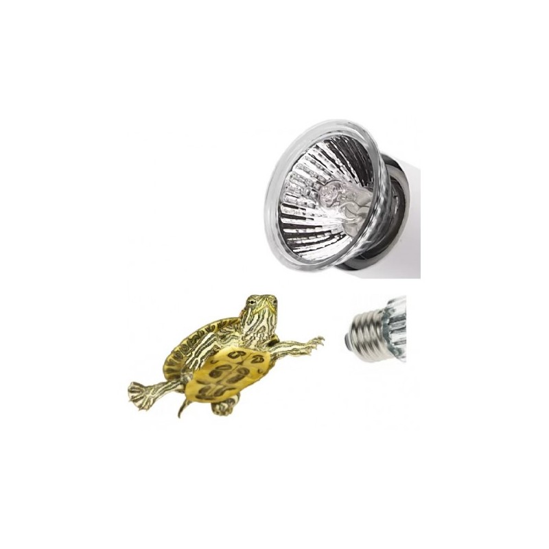 Pièces de rechange UVB UVA Ampoule pour les...