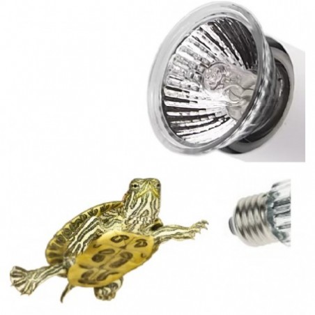 Pièces de rechange UVB UVA Ampoule pour les terrariums et les paludaires de Reptalux