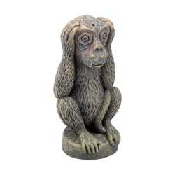 IMMIETTA I do not hear aqpet decorart decorations for...