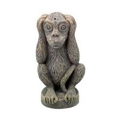 IMMIETTA I do not hear aqpet decorart decorations for... 2