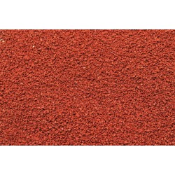 Couleur Dennerle 45 GR Crevettes King