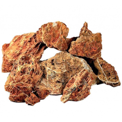 Roccia Reticulata Mapple Leaf Stone Strideways