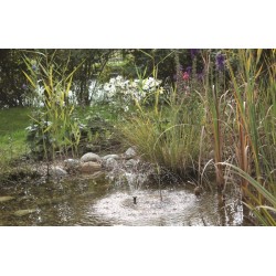 Pontec Pumps with solar panel for Pondosolar 150 Control pond