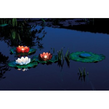 Lily LED Set 3 Pondosolar Pontec Décoration pour l'étang