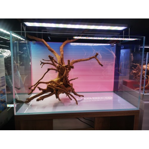 AQPET EOS Bright RVB Écran de lumière