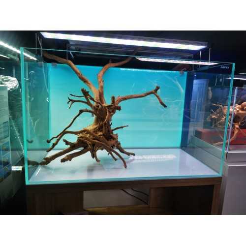 AQPET EOS Bright RGB Light Screen Ground...