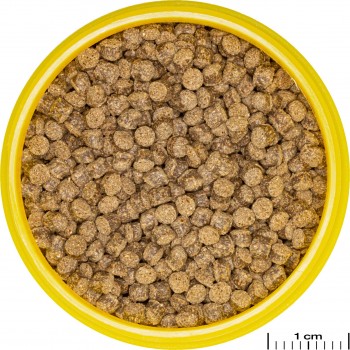 JBL PRONOVO FANTAIL GRANO M 100 ml 2