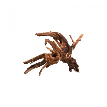 Radice legno naturale Drift Wood Aqpet Zen