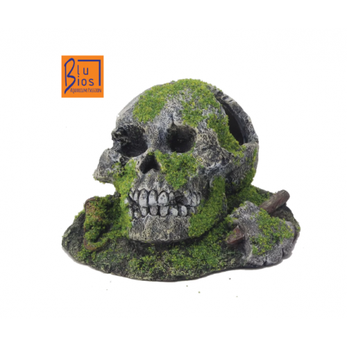 Skull with moss