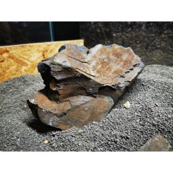 Black Forest Natural Rock Aqpet