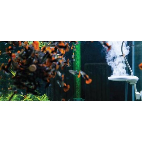 Twinstar II Yotta - ionizzatore elettronico per la salute dei pesci in vasche fino a 200L